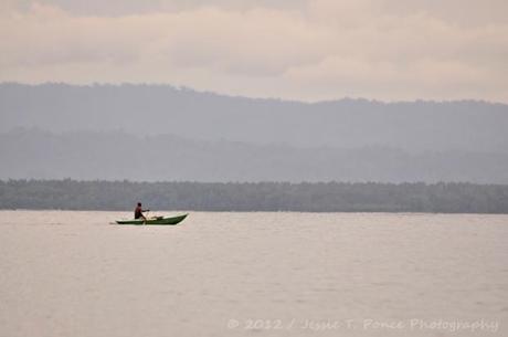 Bougainville Jessie T. Ponce Photography