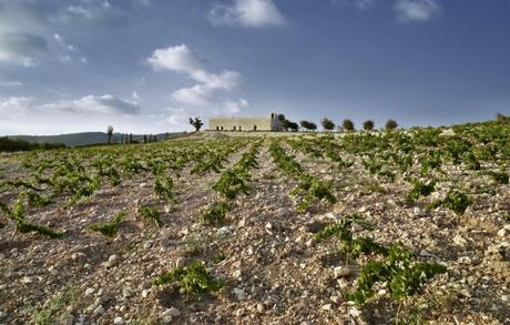 Ixsir Winery By Raed Abillama Architects Nominated For An Award Ixsir Winery By Raed Abillama Architects Nominated For An Award