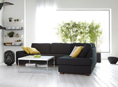 Indoor Plants in Living rooms