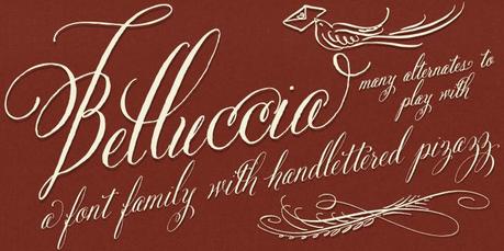 Belluccia calligraphy font by Debi Sementelli Bellucia font, calligraphy font, cursive font, script font, fancy font, fancy letters, fonts for invitaitons, fonts for weddings, wedding font, top selling fonts. best selling fonts, most popular fonts,