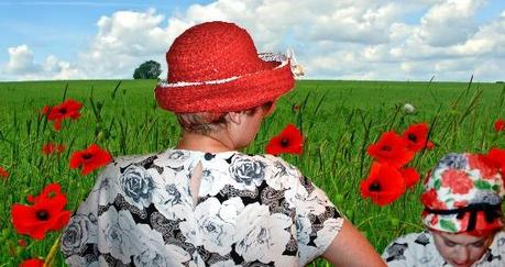 Rosebud in a Red Hat Rosebud in a Red Hat