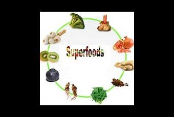 weight loss term papers weight loss term papers