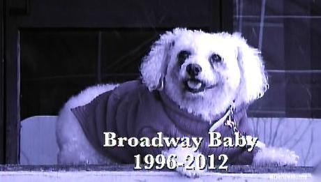bb Dance Moms: One Mo’ Time. Say Hello To Kaya And Bye Bye To Broadway Baby. It’s All Good In Da ‘Hood, Bitch.