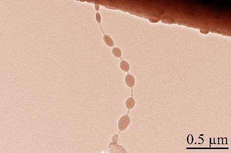 Silicon Electrodes Can Make Batteries Last 10 Times Longer (Credit: University of Maryland NanoCenter)