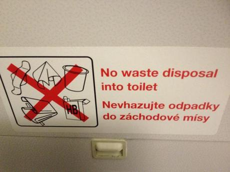 Congress: Gone Fishin’! If you're leaving town on an airplane, it's always a bad idea to go fishin' in the airplane's toilet.