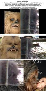 Bigfoot News February 27, 2013 The clips are on the left and the Wookie costume is on the right. Compare and contrast.