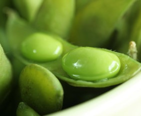 Soybeans entrepreneur, austin women entrepreneurs