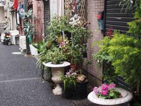 P2060158 消えつつある池袋の横丁 /  attractive alleys are disappearing from Ikebukuro,metropolitan city