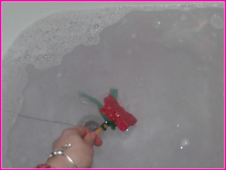 Mother's Day Idea - Lush Reusable Bath Bars photo DSCF6424_zpse77c4d9b.jpg