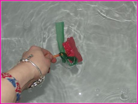 Mother's Day Idea - Lush Reusable Bath Bars photo DSCF6423_zpscba52d74.jpg