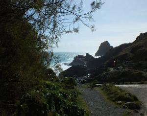 Kynance Cove on a Spring morning Kynance Cove