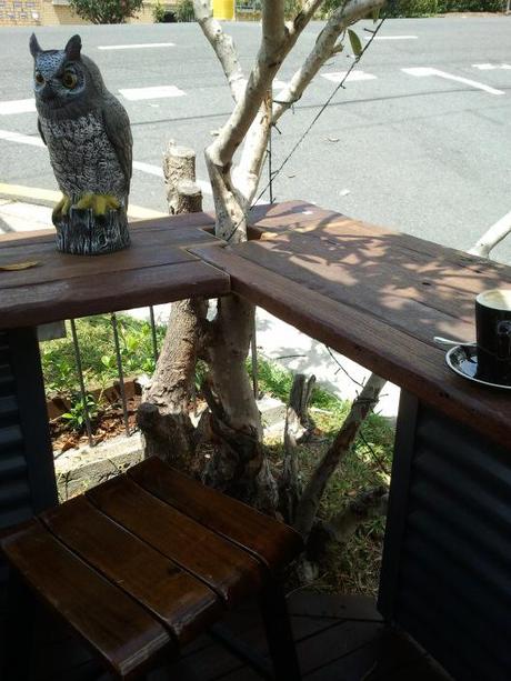 Where I’ve been The owls are not what they seem