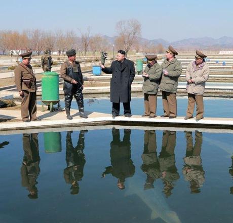 Kim Jong Un (4th R) views a fish breeding pool at the Ryongjong Fish Farm.  Also seen in this image are VMar  Choe Ryong Hae (3rd R), Gen. Kim Kyok Sik (2nd R) and Gen. Kim Yong Chol (R) (Photo: Rodong Sinmun)