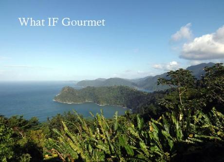 North Coast Road overlook, on the way to Maracas Bay from Port of Spain, Trinidad.