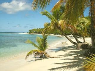 The Enjoyable Tropical Caribbean Vacation Destination Of St. Vincent and the Grenadines