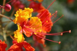 Vocabulary And Comprehension file0001133588384