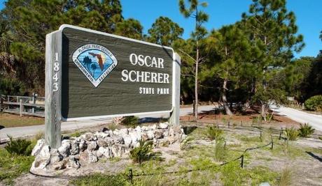 oscar01 590x343 Oscar Scherer State Park, hiking Florida style
