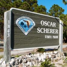 Oscar Scherer State Park, hiking Florida style