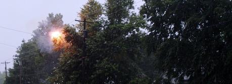 Tree limbs creating a short circuit in electrical lines during a storm. This typically results in a power outage in the area supplied by these lines (Credit: Robert Lawton, http://commons.wikimedia.org/wiki/User:Rklawton).