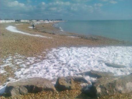 Monthly Picture – March 2013 IMAG0279