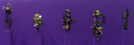 Purple Backround Flower Feature - Canada Blooms 2013