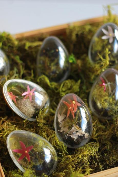 How to make Easter egg terrariums