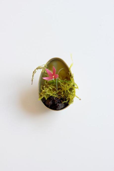How to make Easter egg terrariums
