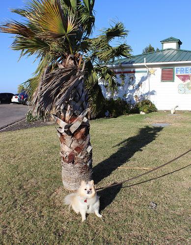 Helloooooo Spring 19