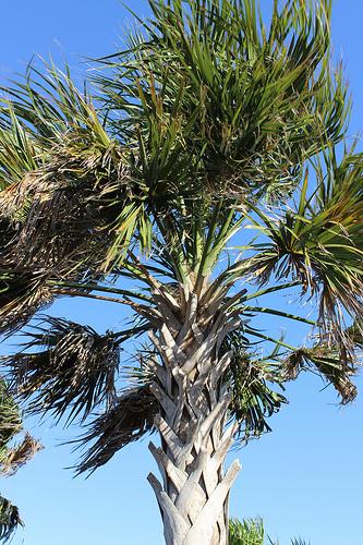 Helloooooo Spring 17