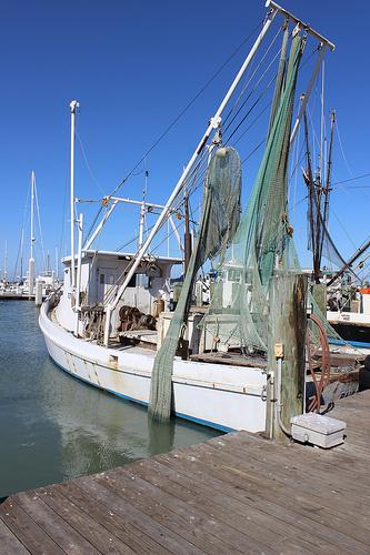 Helloooooo Spring 15