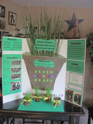 Brailey's Fifth Grade Science Fair Project - Green Growing Grass