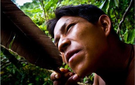 Amazon Indians unite against Canadian oil giant The abundant resources of their forest home provide the Matsés with a rich and varied diet.