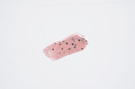 Illamasqua I’mperfection Speckled Nail Polish Illamasqua Speckled Nail Varnish Scarce