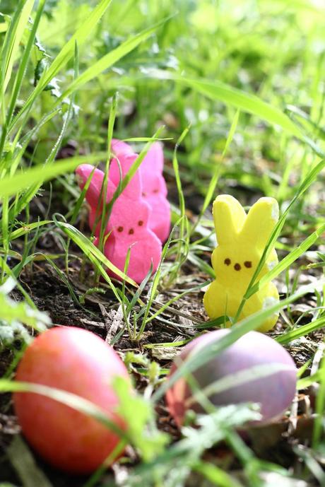 Easter Bunnies!