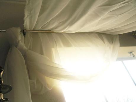 Renter's canopy bed