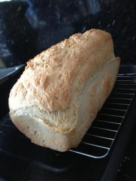 82/365 Snow joke being stuck at home 82/365 Snow joke being stuck at home