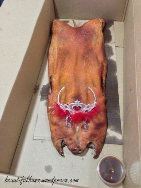 IOPE Body Clinic Shaping Effecter pig