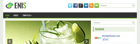 ENIS Free WordPress Theme ENIS Free WordPress Theme