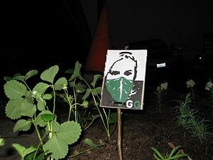 This is how you know this is a Guerilla Garden... This is how you know this is a Guerilla Garden...