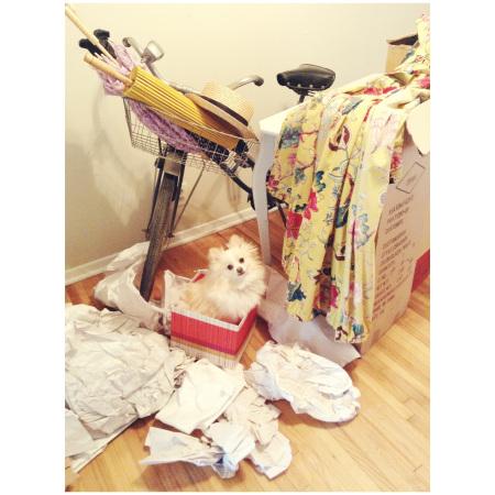 It’s That Time Again image