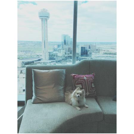 It’s That Time Again image