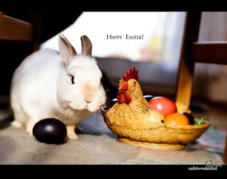  - photos-cute-bunny-rabbits-celebrate-easter-L-NPL0ZM