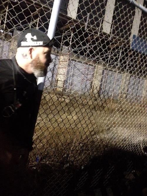 The Red Hook Criterium: Were You Cool Enough To Be There? image