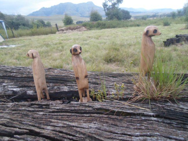 an instant of life captured for eternity Image