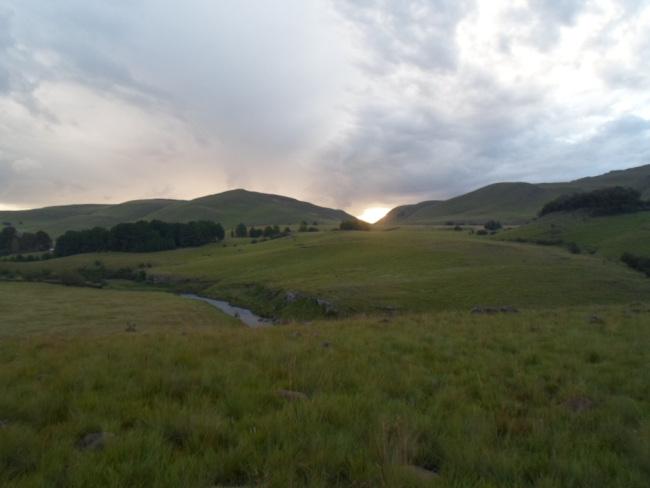 an instant of life captured for eternity Image