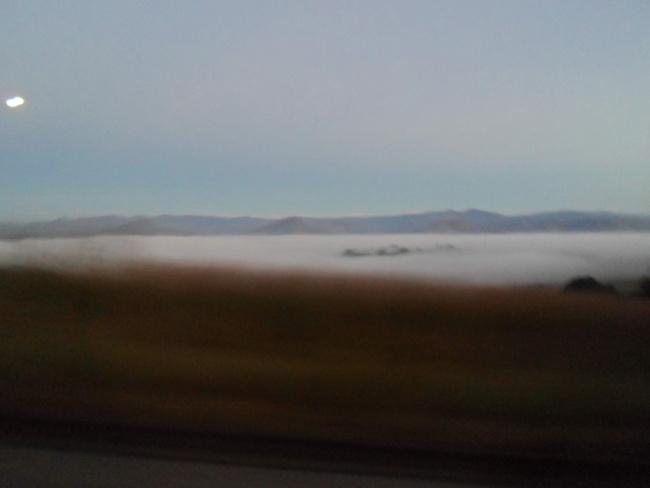 an instant of life captured for eternity Image