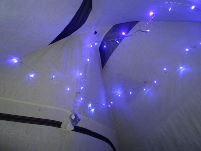 an instant of life captured for eternity Image