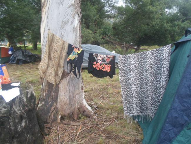 an instant of life captured for eternity Image