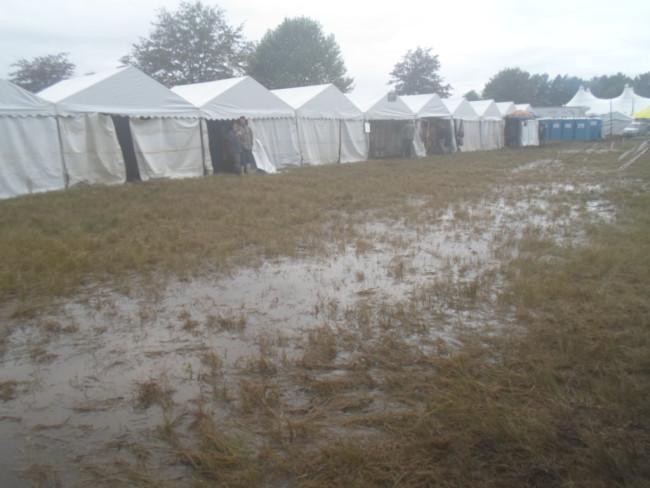 an instant of life captured for eternity Image