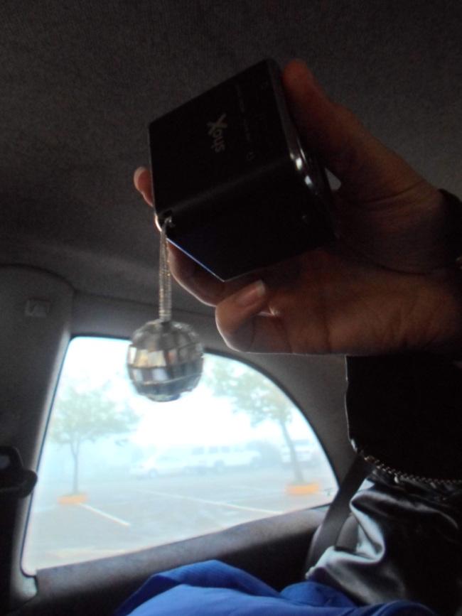 an instant of life captured for eternity Image